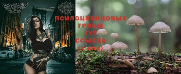 кокаин колумбия Алзамай