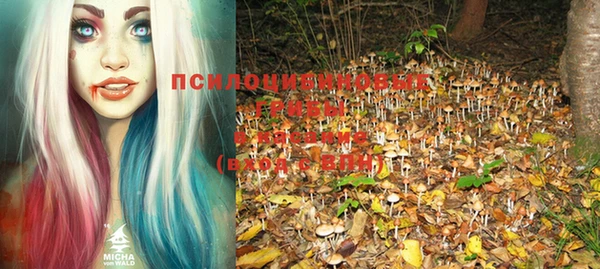 марки lsd Кинешма