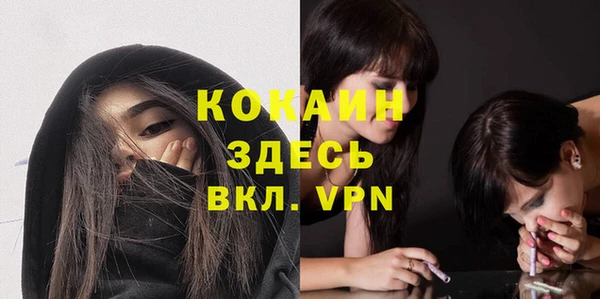 не бодяженный Алексин