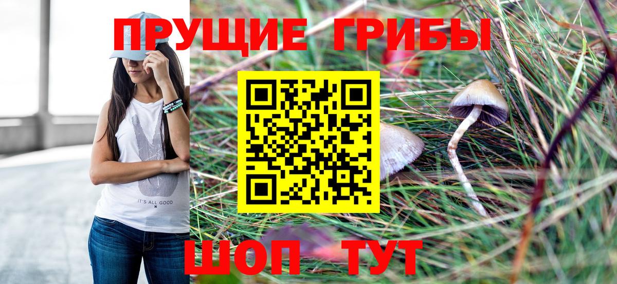 Выкса  Галлюциногенные грибы Psilocybe  Вход с VPN  Галлюциногенные грибы мицелий 