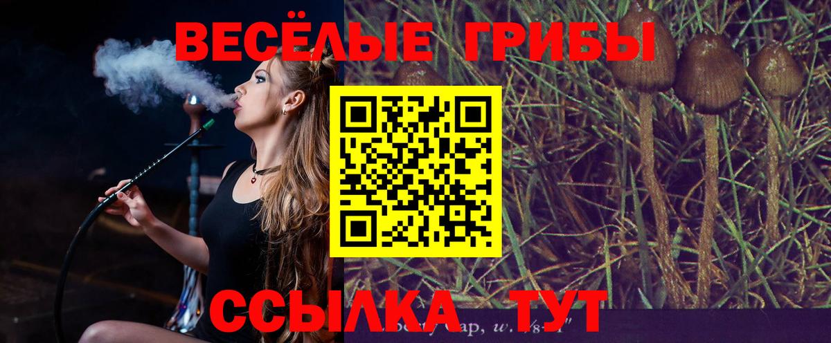 Псилоцибиновые грибы прущие грибы Выкса